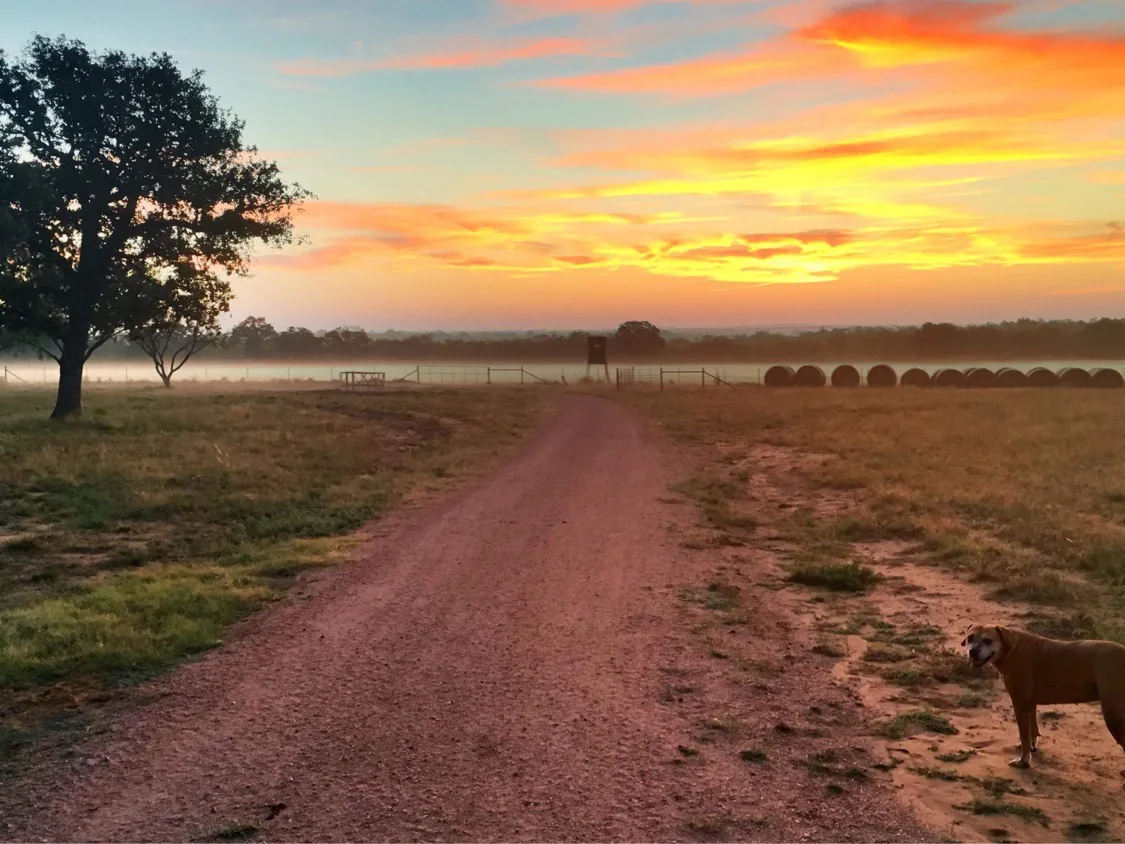 A quiet ranch road at sunrise, with hay bales beside the fence.
