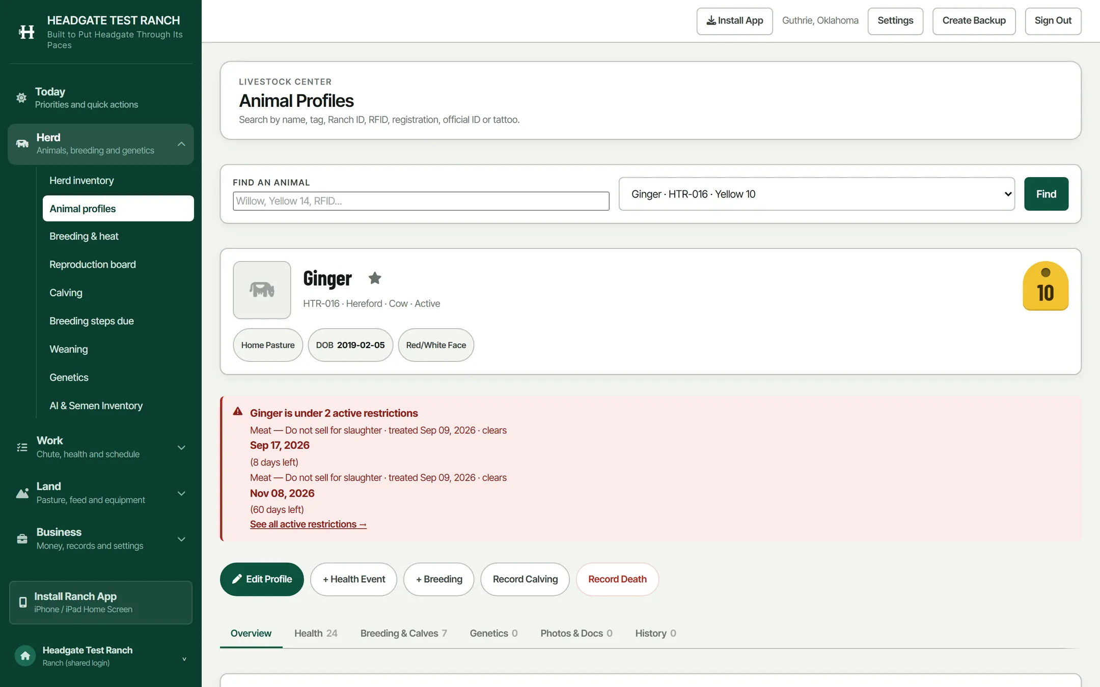 Ginger's animal page: name, ranch ID, breed and status, then
                    a red panel saying she is under two active restrictions with
                    the dates each one clears, then tabs for Overview, Health 24,
                    Breeding and Calves 7, Genetics, Photos and History.