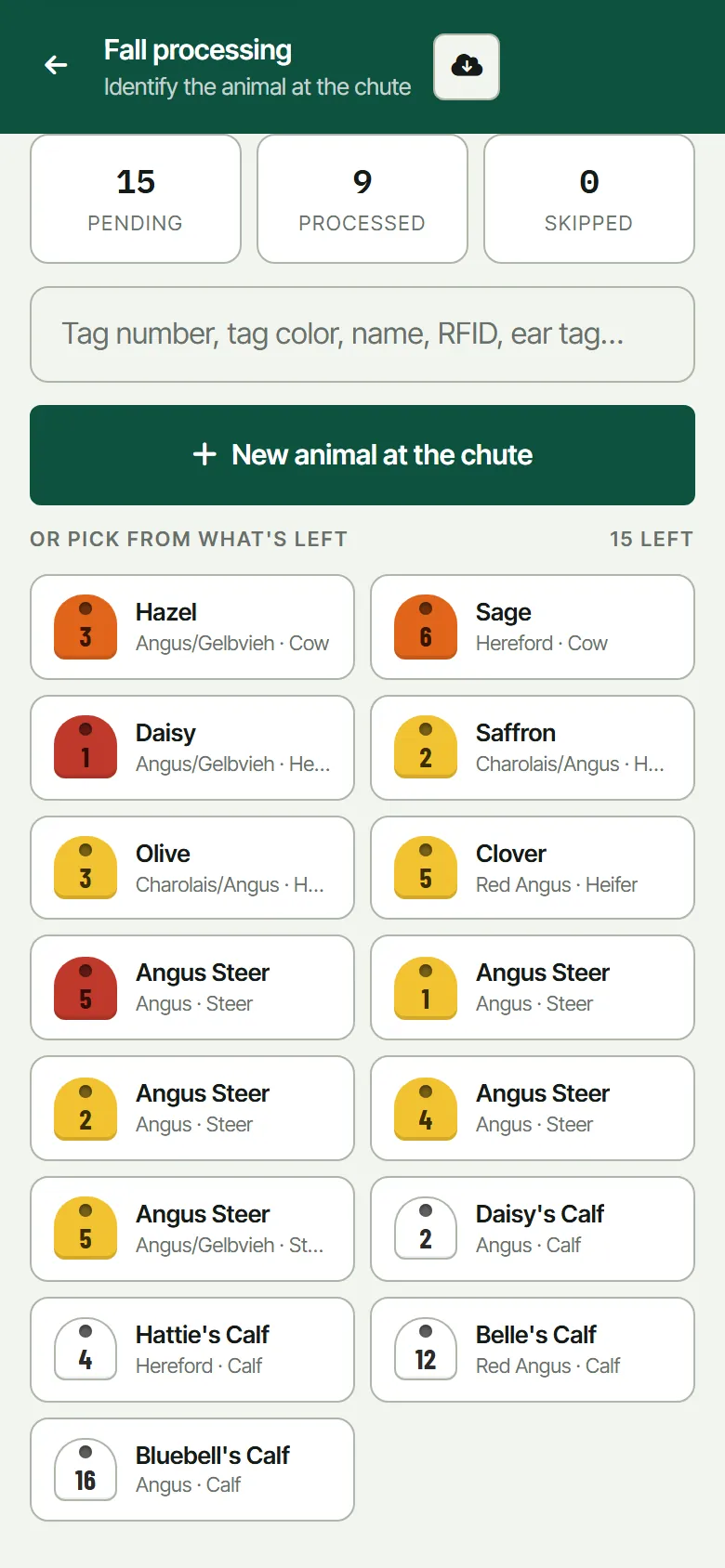 The chute picker: counters for pending, processed and
                    skipped, a search box, a New animal at the chute button, and
                    a grid of tag chips for the head still to work.